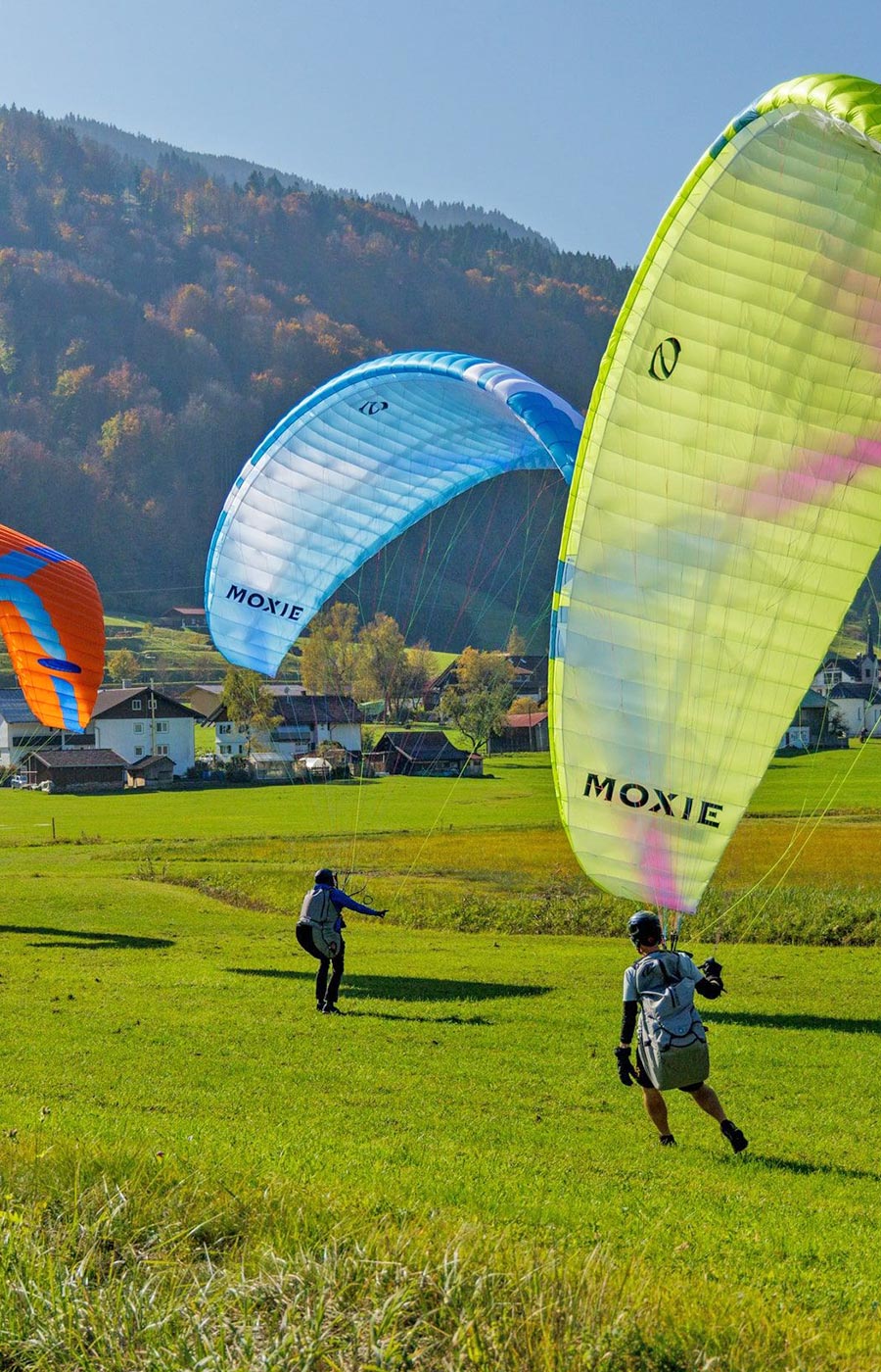 Szkoła paralotniowa Szkoła paralotniowa